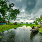 Monsoon Revival Sparks Hope for Kharif Season Recovery