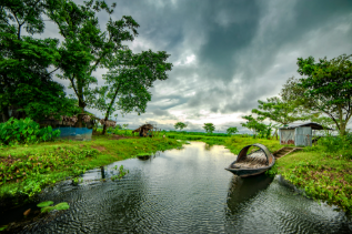 Monsoon Revival Sparks Hope for Kharif Season Recovery