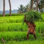 India’s ITAT Cracks Down on Misuse of Farmland Transactions