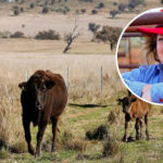 Gina Rinehart Finalizes $75 Million Deal for Australian Cattle Stations