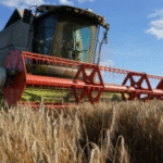 Ukraine’s Grain Harvest Expected to Drop Nearly 10% in 2025, Warns Agriculture Minister