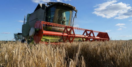 Ukraine’s Grain Harvest Expected to Drop Nearly 10%…