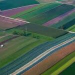 Global Push for Sustainable Agriculture Still Lacks Adequate Funding, Say Experts