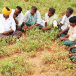 Andhra Pradesh Rolls Out APAIMS 2.0 to Revolutionize Agriculture Management