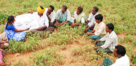 Andhra Pradesh Rolls Out APAIMS 2.0 to Revolutionize Agriculture Management