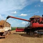Amazon Soy Moratorium Faces Mounting Pressure