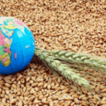 Global Grain Markets Stabilize Amid Inflation and Geopolitical Tensions