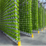 Vertical Farming Tech Scaled Up in Urban Centers