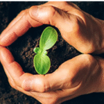 Tropical Agrosystem Launches National Soil Health Campaign in India