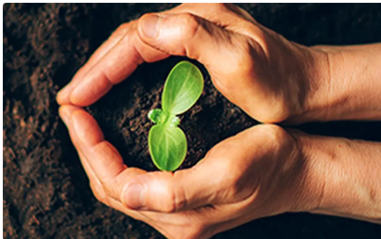 Tropical Agrosystem Launches National Soil Health Campaign in India