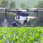 Drone-Based Nano Urea Spraying Begins in Uttar Pradesh