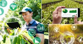 Precision Agriculture and the Rise of…