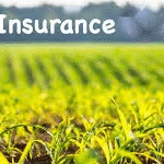 Climate Analytics Supporting Crop Insurance Uptake in Latin America