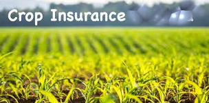Climate Analytics Supporting Crop Insurance Uptake in Latin America