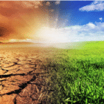 Climate-Smart Farming Gaining Momentum Among Indian Smallholders