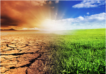 Climate-Smart Farming Gaining Momentum Among Indian Smallholders
