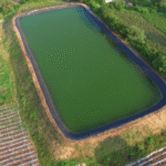 Over 37,000 Farm Ponds Built in Uttar Pradesh to Tackle Water Crisis