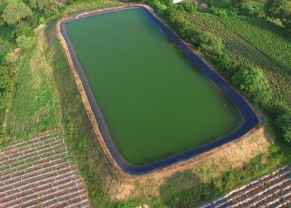 Over 37,000 Farm Ponds Built in Uttar Pradesh to Tackle Water Crisis