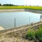 Uttar Pradesh Constructs Over 37,000 Farm Ponds UnderKhetTalabYojana to Boost Water Conservation