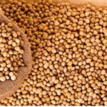 Telangana Reviews Haryana’s Seed Law Model Amid Delays in Central Legislation