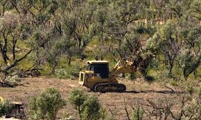 Australia’s Land-Clearing Surge Sparks National Action and Hope&hellip;