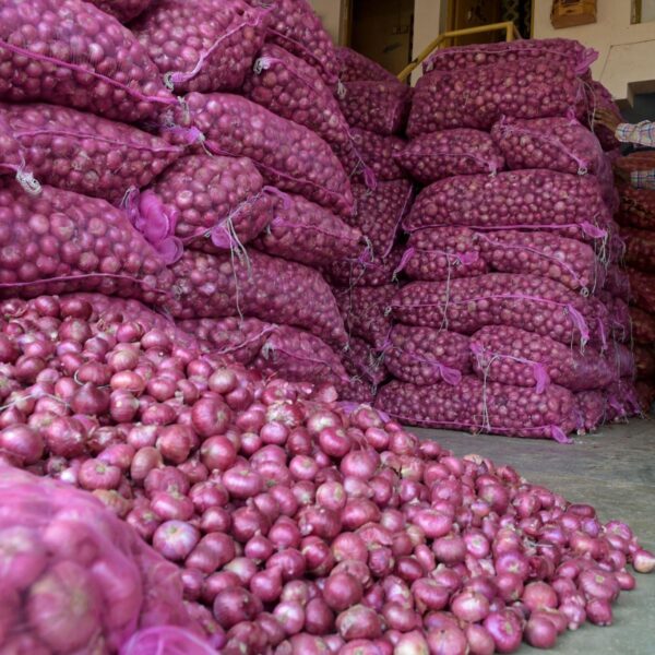 Govt Procures Over 1 Lakh Tonnes of Onion&hellip;