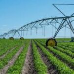 PepsiCo and Cargill Join Forces to Promote Regenerative Agriculture Across 2.4 Lakh Acres