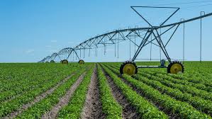 PepsiCo and Cargill Join Forces to Promote Regenerative…