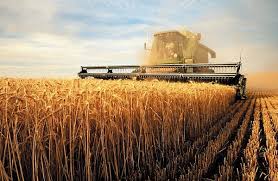 U.S. Wheat Export Sales Surpass…