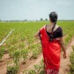 Maharashtra Unveils ₹25,000 Crore ‘Krishi Samruddhi Yojana’ to Transform Farming Landscape