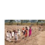 Uttar Pradesh Hikes Minimum Agricultural Wages, Boosting Rural Livelihoods