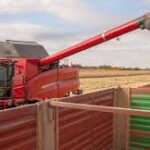 Victorian Farmers to Receive 40% Drought Relief Rebates Amid Prolonged Dry Conditions
