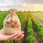 CROPIC App Brings Real-Time Crop Monitoring to Strengthen PM Fasal Bima Yojana
