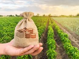 CROPIC App Brings Real-Time Crop Monitoring to Strengthen…