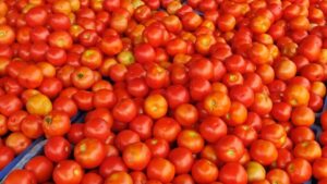 Tomato Prices Soar in Andhra Pradesh, Government Steps&hellip;