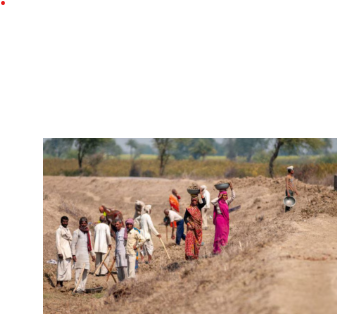 Uttar Pradesh Hikes Minimum Agricultural Wages, Boosting Rural…