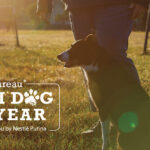 AFBF Extends Farm Dog of the Year Nomination Deadline Apply Now to Honor Your Four-Legged Farmhand