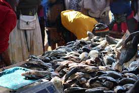 National Fish Farmers Day 2025 to Be Celebrated in Bhubaneswar; Fisherfolk and Aquaculture Heroes to Be Honored
