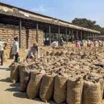 India Diverts Surplus Rice to Ethanol Production to Boost Green Fuel Goals