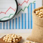 Global Corn and Soybean Export Trends Shift Amid Market Pressures and Weather Uncertainty