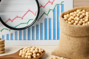 Global Corn and Soybean Export Trends Shift Amid…