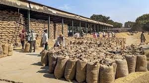 India Diverts Surplus Rice to Ethanol Production to Boost Green Fuel Goals