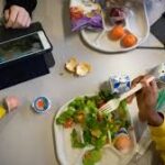 USDA Winds Down Regional Food Business Centers Program While Honoring Existing Grants