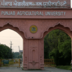 Punjab Agricultural University Secures Spot in Global Top 100, Marking Major Academic Milestone