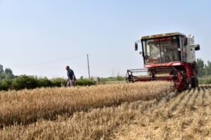 China Reaffirms Focus on Food Security Amid Global…
