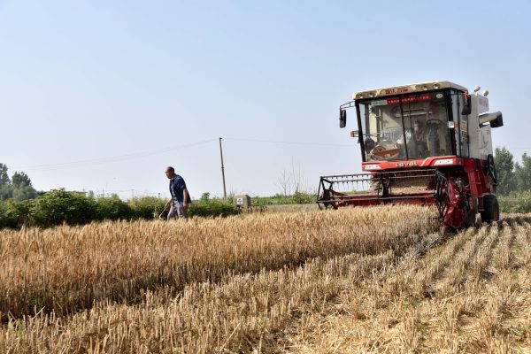 China Reaffirms Focus on Food Security Amid Global Uncertainties