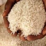 India Moves to Stabilize Rice Prices, Ensures Adequate Supply for Consumers