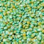 Nationwide Concern Grows Over Fake Seeds and Toxic Herbicides; States Urge Urgent Regulatory Action