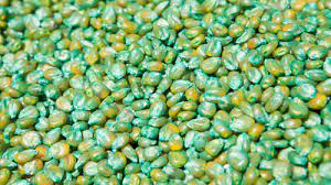 Nationwide Concern Grows Over Fake Seeds and Toxic&hellip;