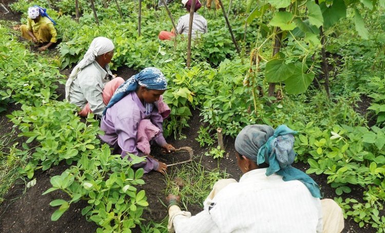 Women Drive Regenerative Farming Revolution…